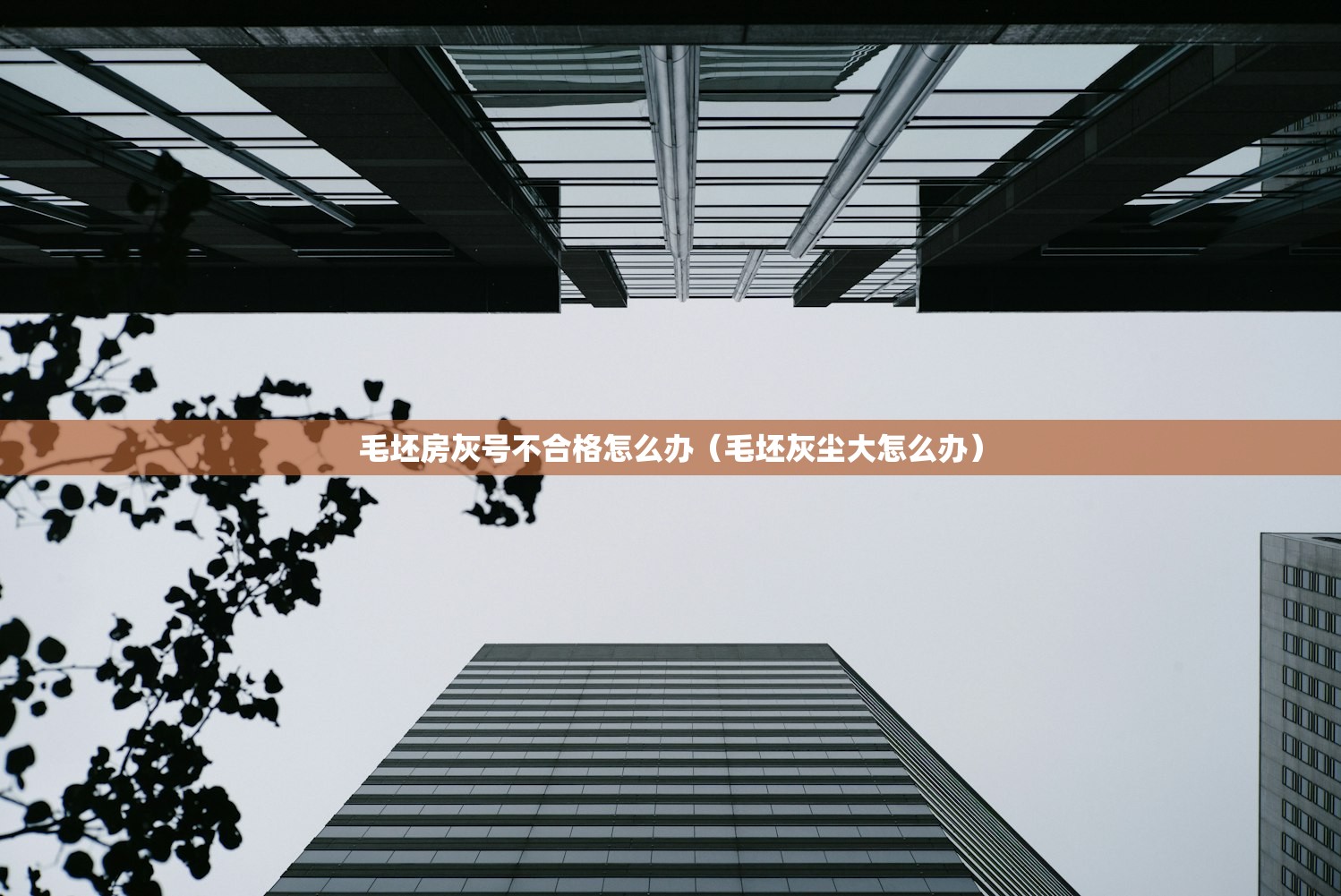 疫情病/疫情病毒死亡人数