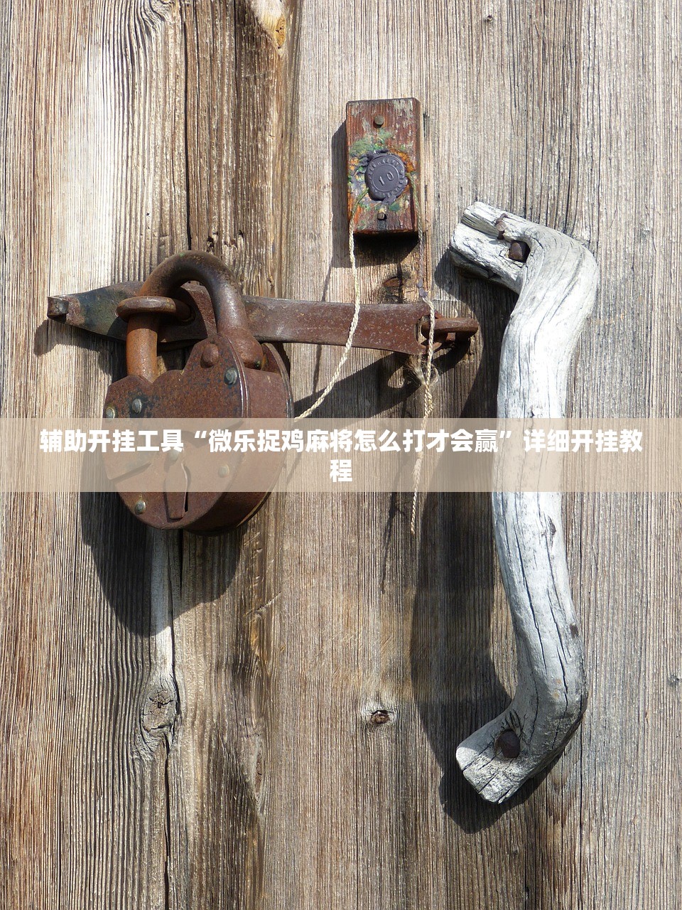 辅助开挂工具“中至九江麻将可以开挂吗(透视)”开挂辅助脚本+详细开挂安装教程