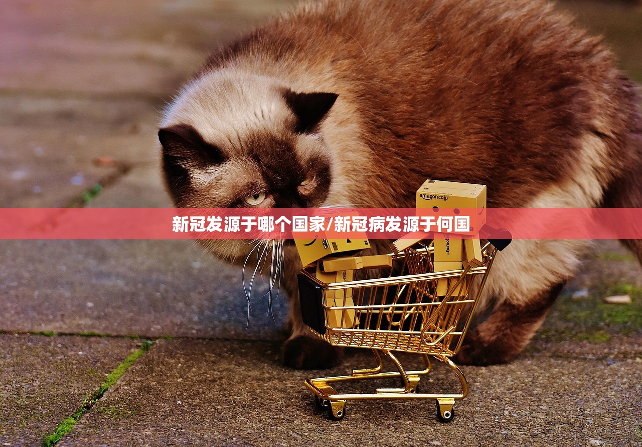 新冠发源于哪个国家/新冠病发源于何国