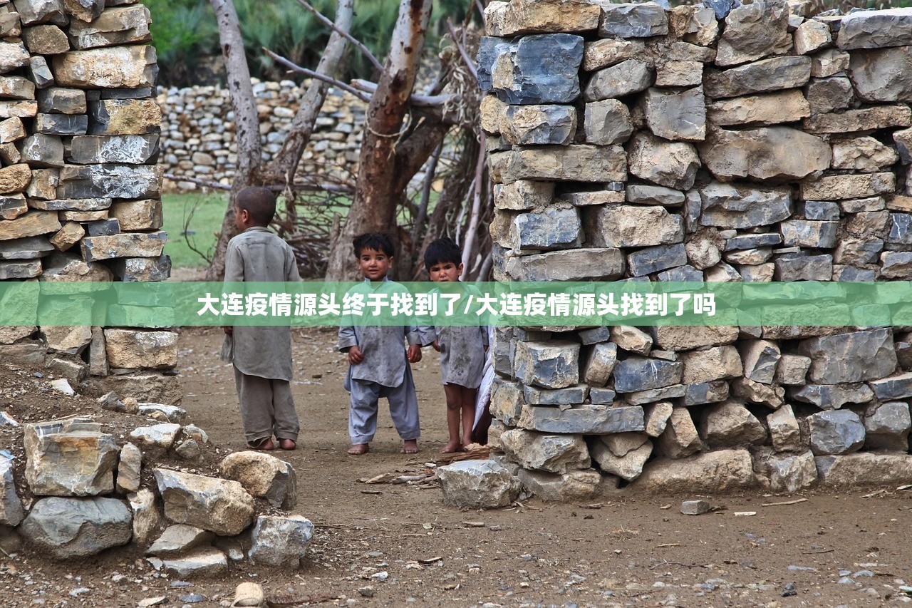 阜新疫情（阜新疫情通报）