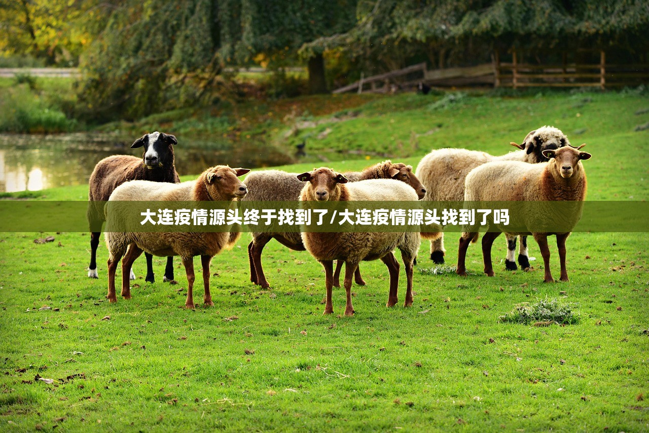 大连疫情源头终于找到了/大连疫情源头找到了吗