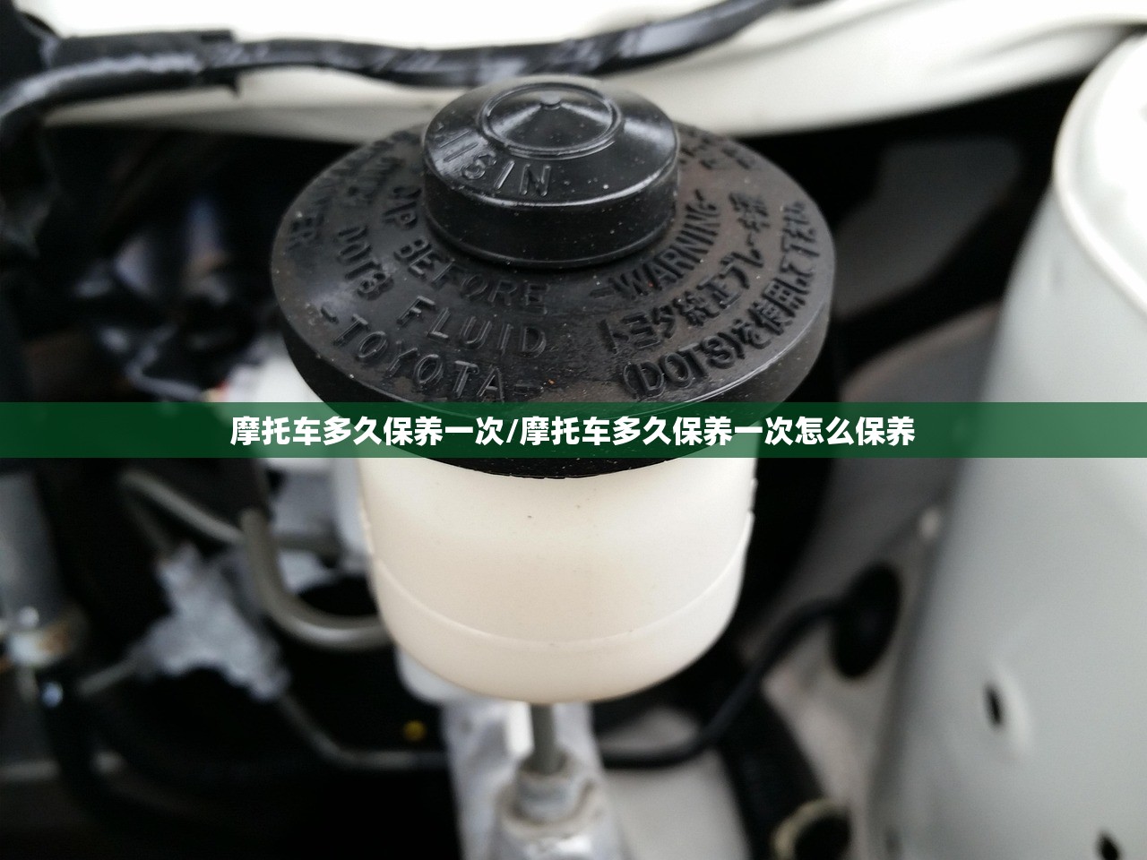 【濮阳有哪些大学,濮阳有哪些大学排名】