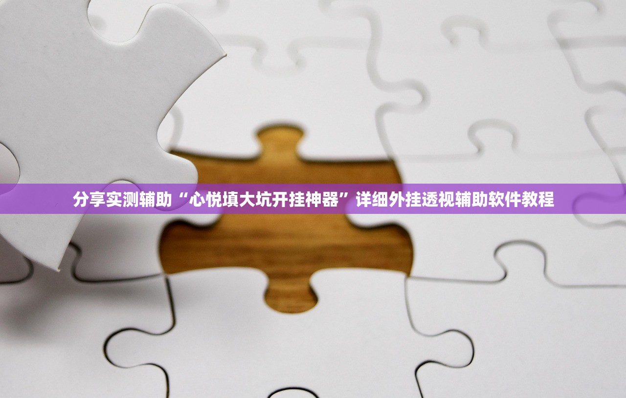 分享实测辅助“心悦填大坑开挂神器	”详细外挂透视辅助软件教程
