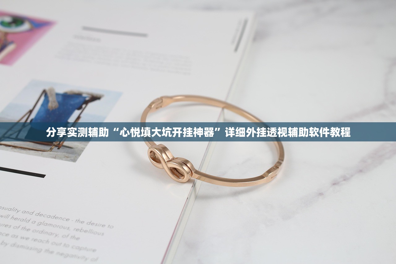 分享实测辅助“心悦填大坑开挂神器”详细外挂透视辅助软件教程