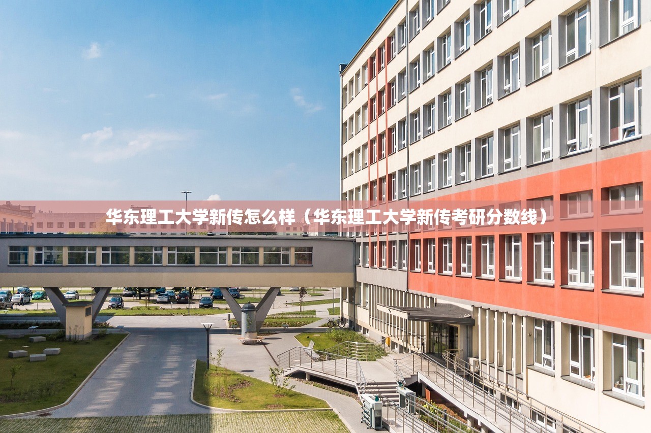 华东理工大学新传怎么样（华东理工大学新传考研分数线）