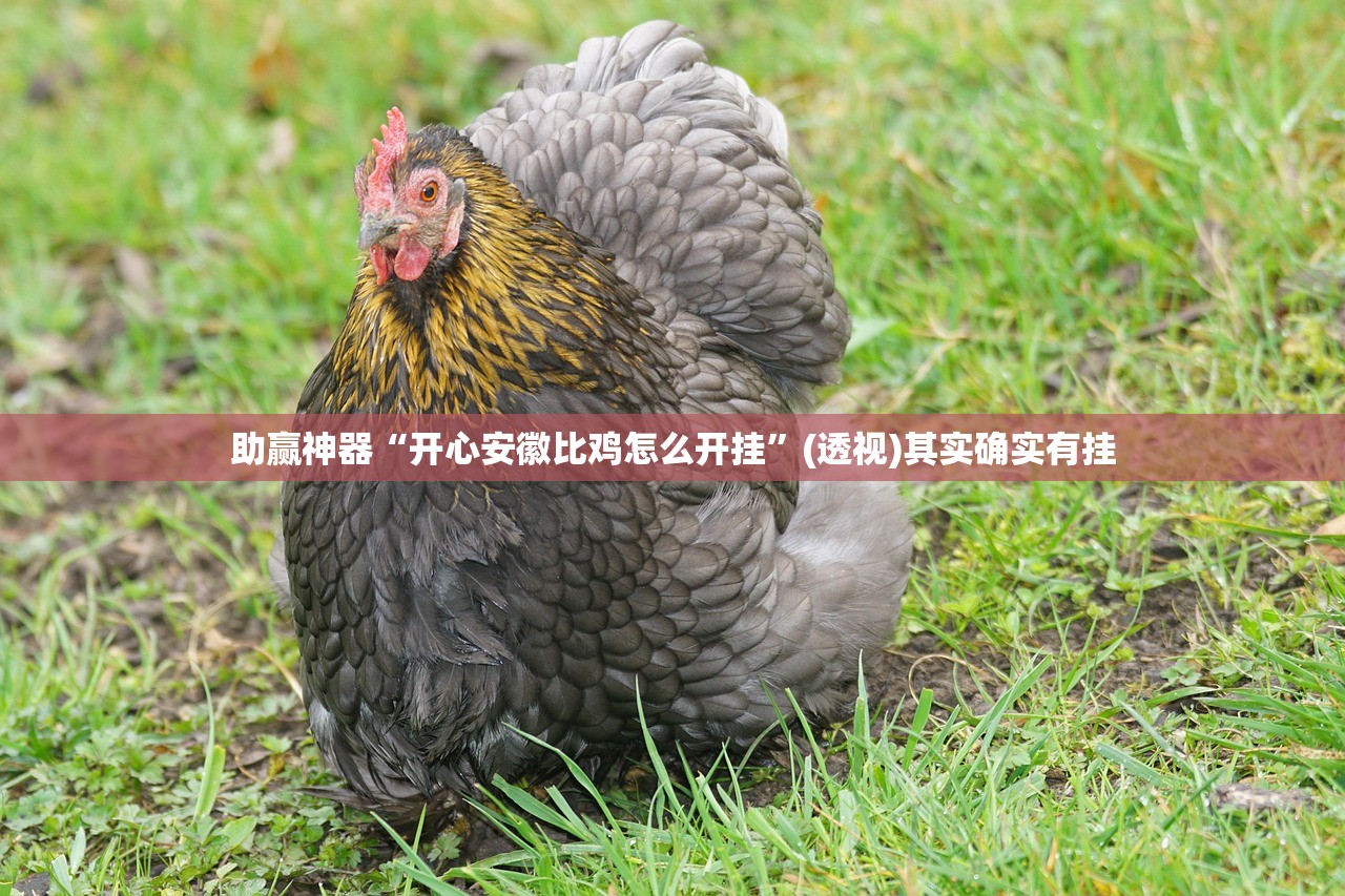 一键必胜“红中麻将到底有没有挂”开挂(透视)辅助教程