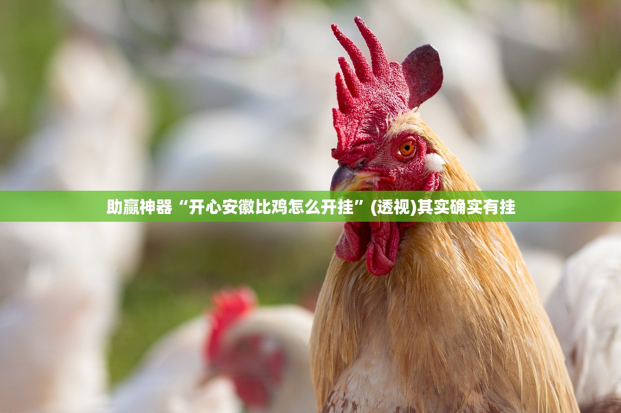 助赢神器“开心安徽比鸡怎么开挂”(透视)其实确实有挂