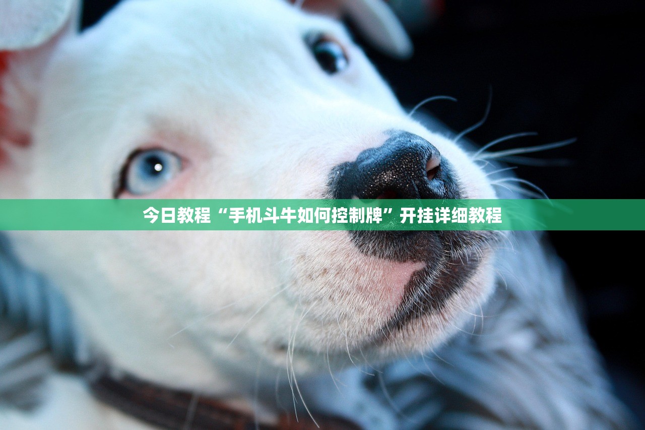 【北京新增病例/北京新增病例持续增长】