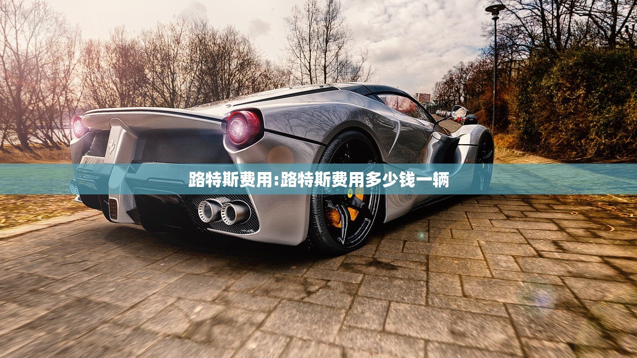 路特斯费用:路特斯费用多少钱一辆