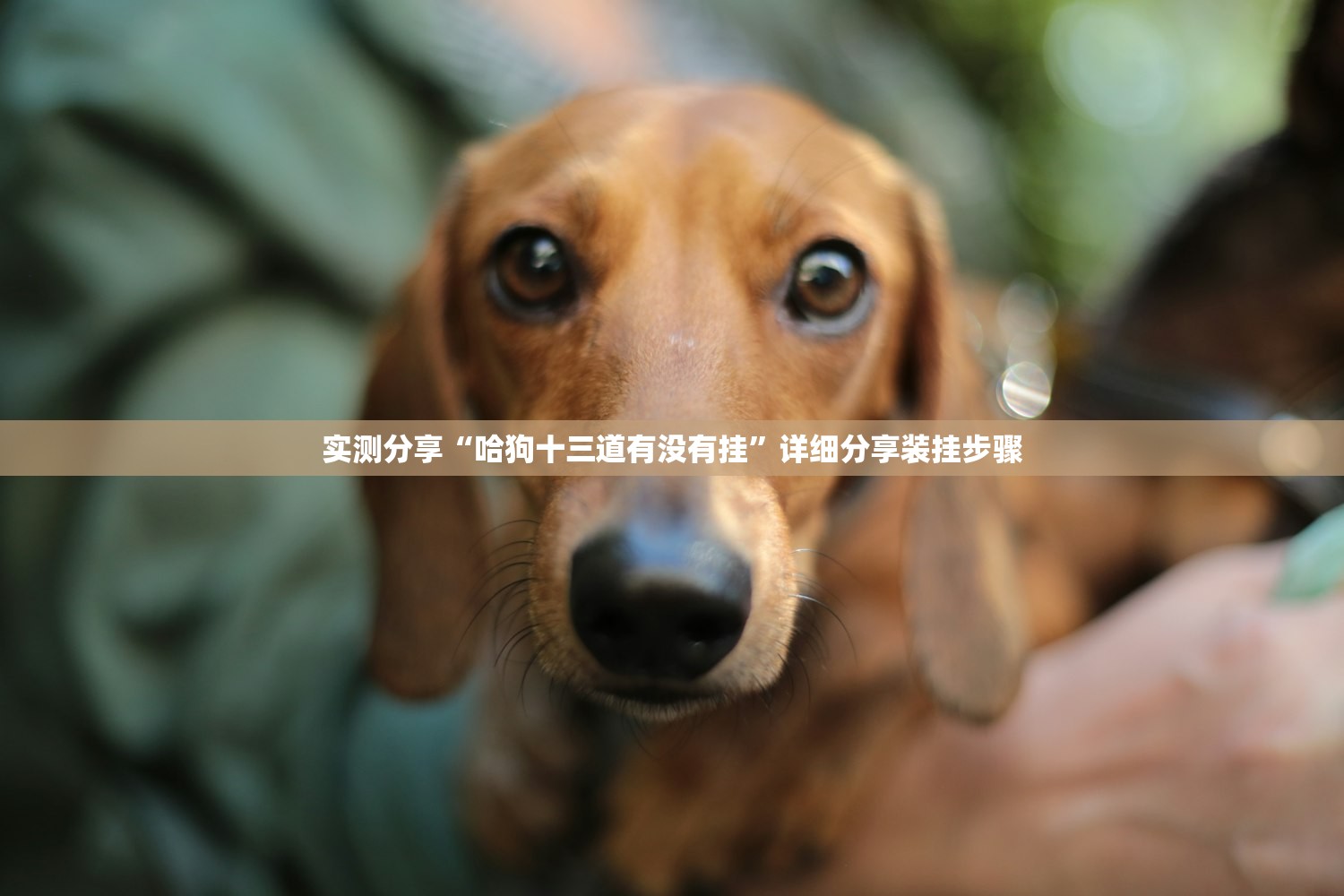 【河南新增本土无症状24例/河南新增2例无症状感染者详情】