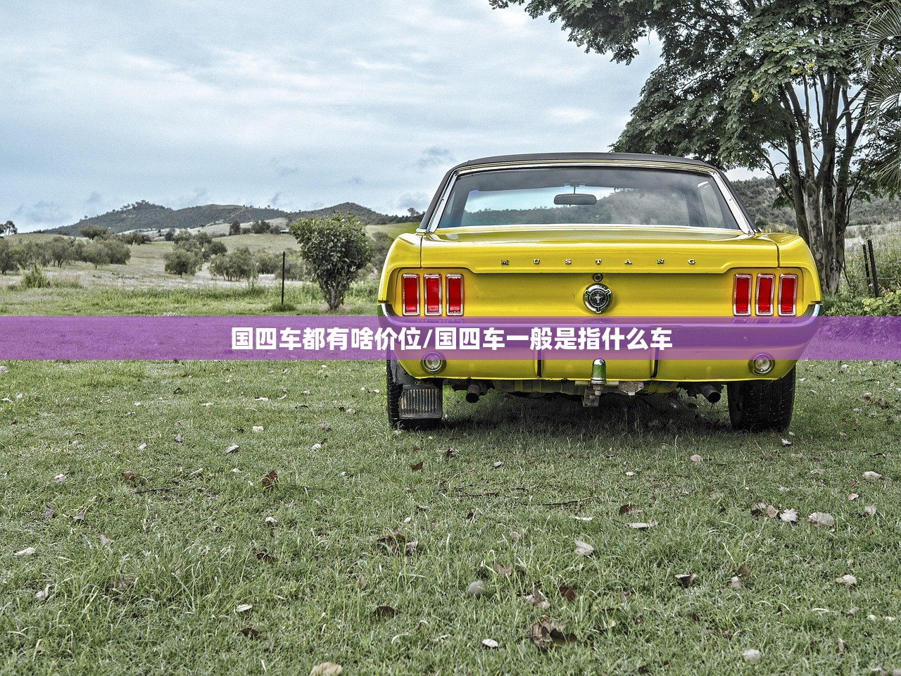 国四车都有啥价位/国四车一般是指什么车