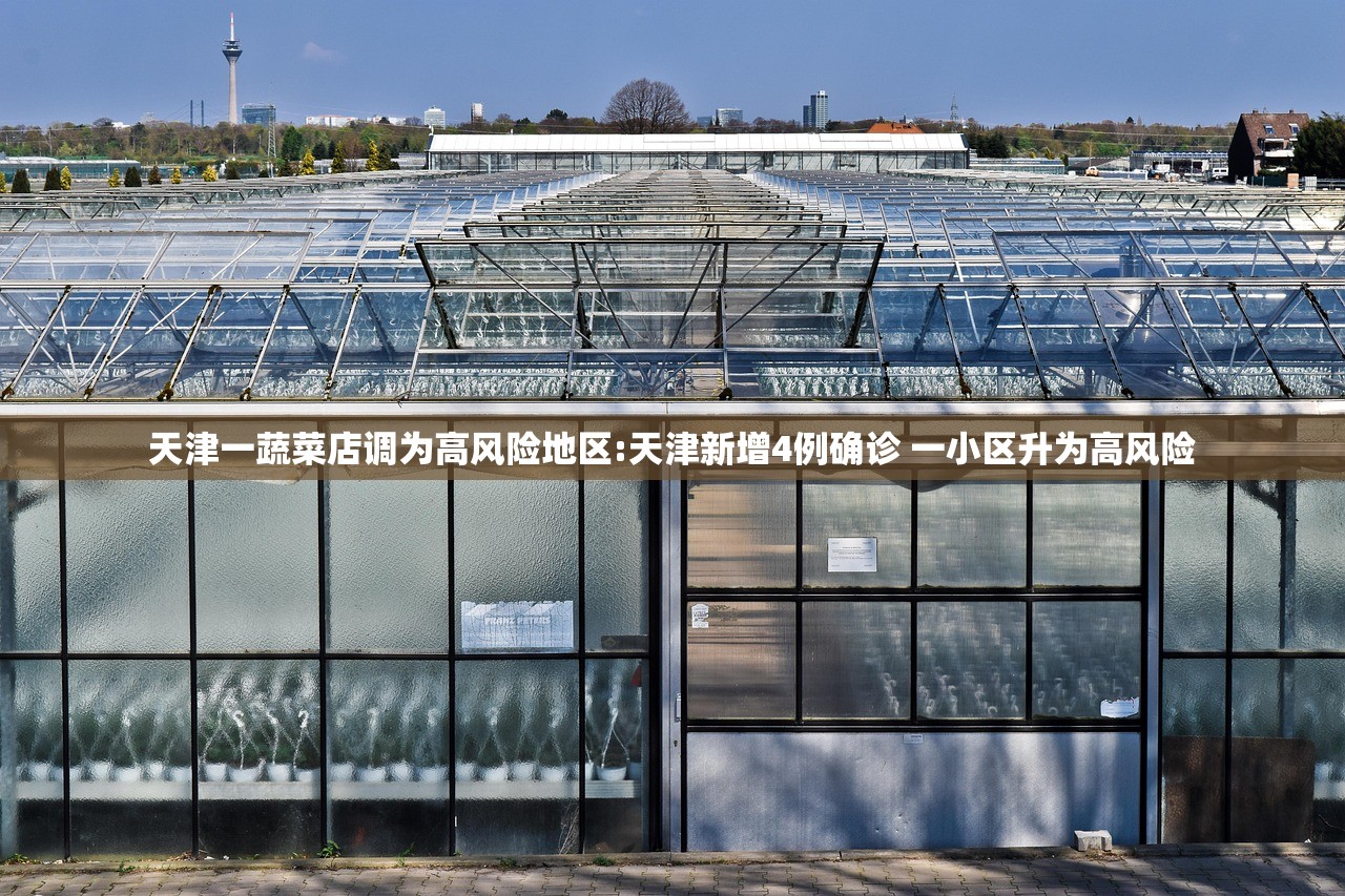 天津一蔬菜店调为高风险地区:天津新增4例确诊 一小区升为高风险