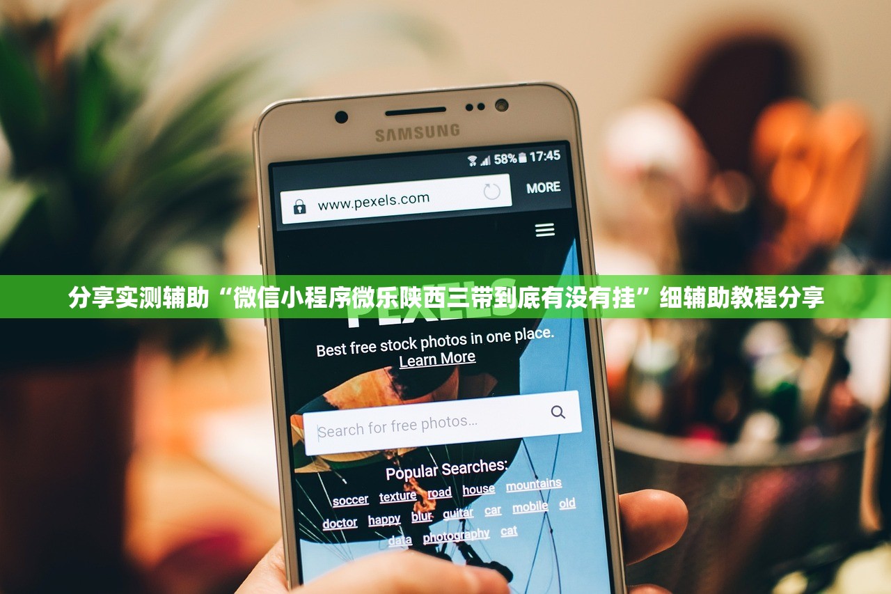 分享实测辅助“微信小程序微乐陕西三带到底有没有挂	”细辅助教程分享