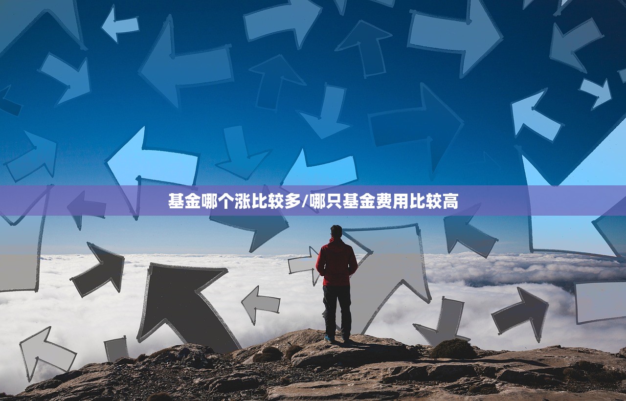 基金哪个涨比较多/哪只基金费用比较高