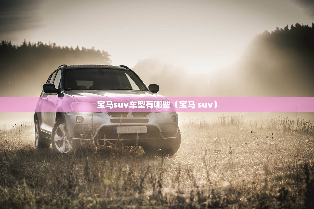 宝马suv车型有哪些（宝马 suv）
