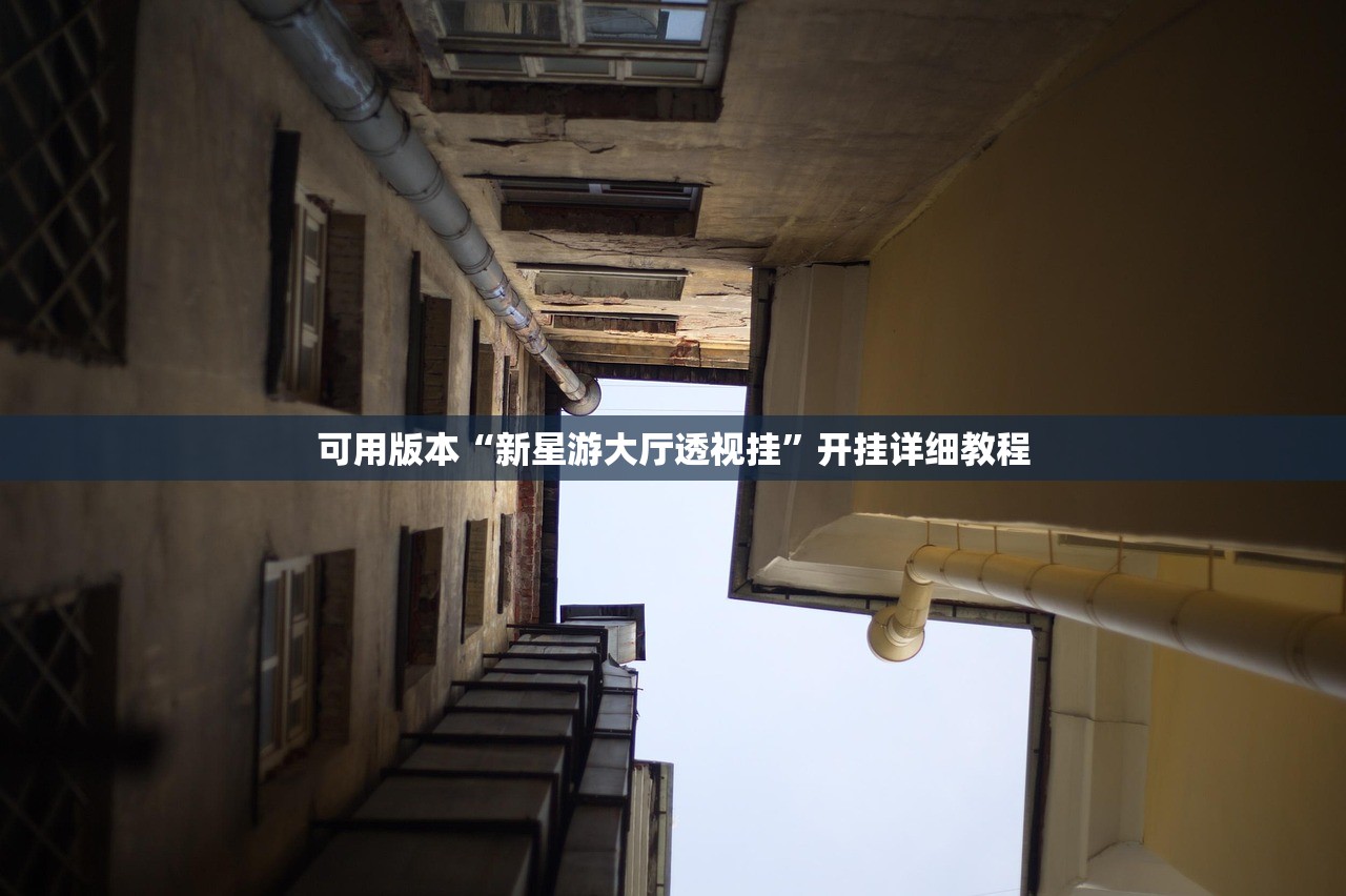 实测辅助“新青龙大厅开挂作弊软件”细辅助教程分享
