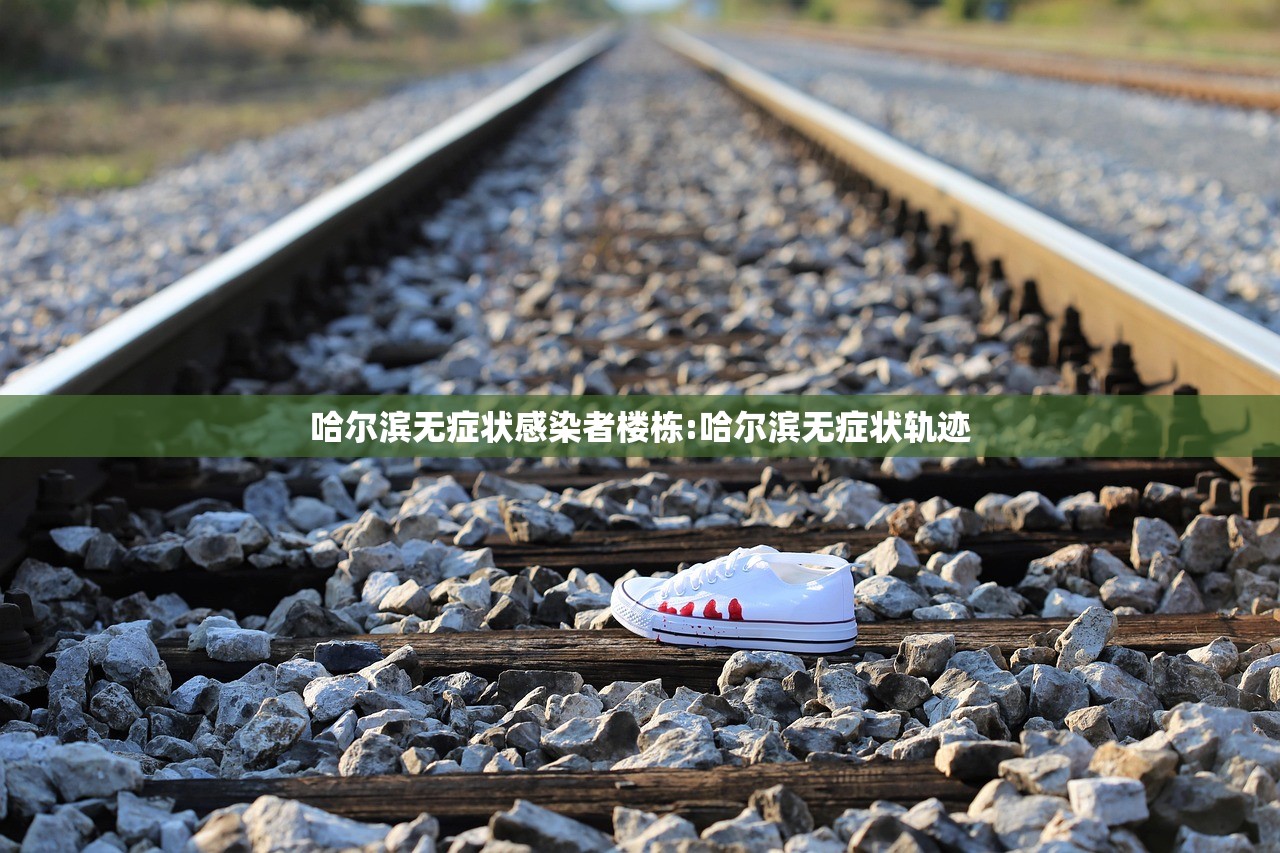 哈尔滨无症状感染者楼栋:哈尔滨无症状轨迹