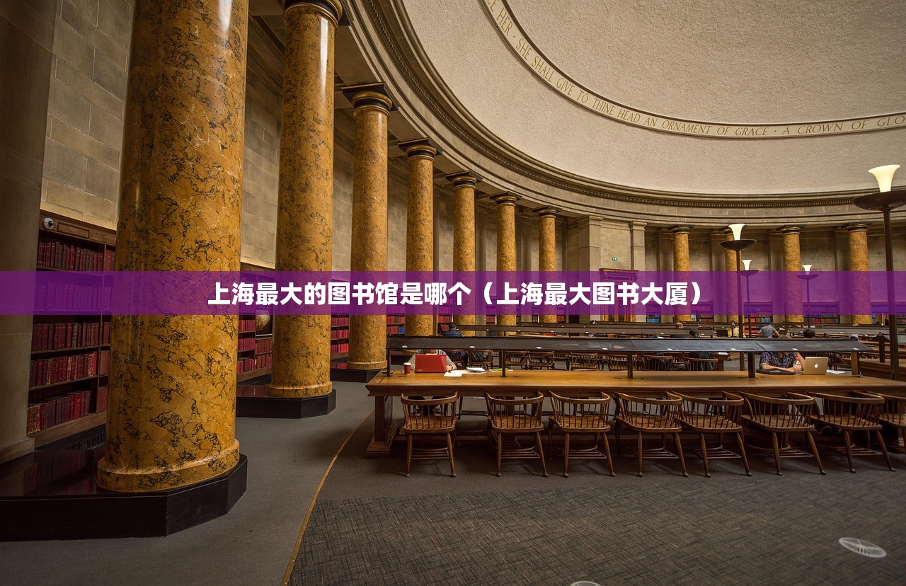 上海最大的图书馆是哪个（上海最大图书大厦）