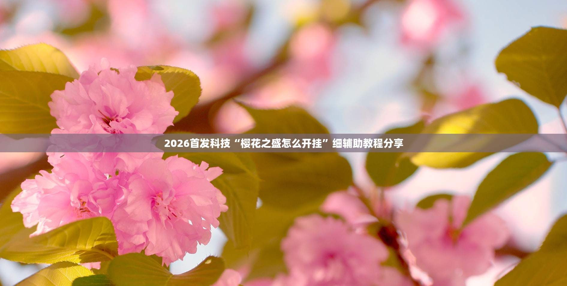 实测神器辅助“斗棋万能开挂神器(透视)”开挂辅助脚本+详细开挂安装教程