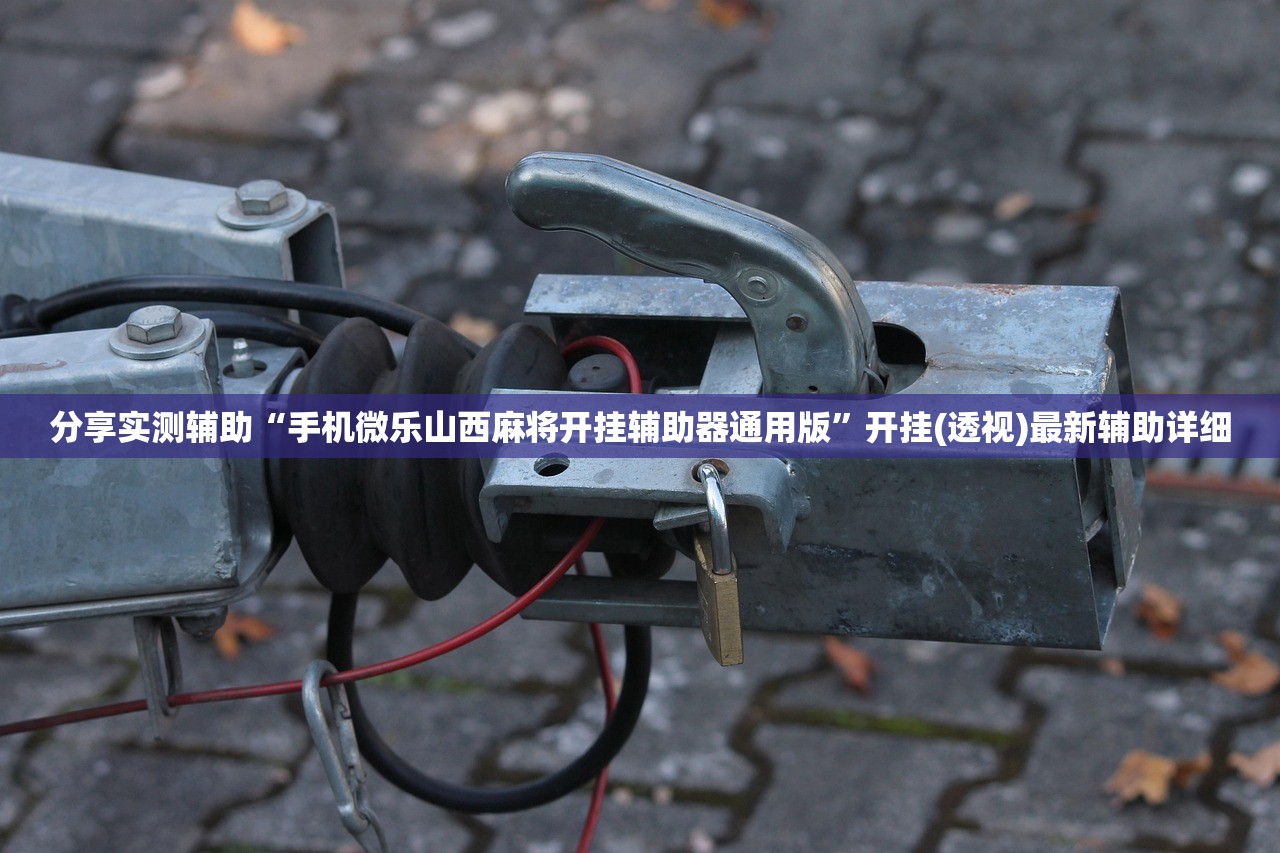 分享实测辅助“手机微乐山西麻将开挂辅助器通用版”开挂(透视)最新辅助详细