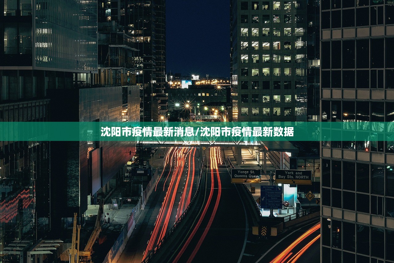 沈阳市疫情最新消息/沈阳市疫情最新数据