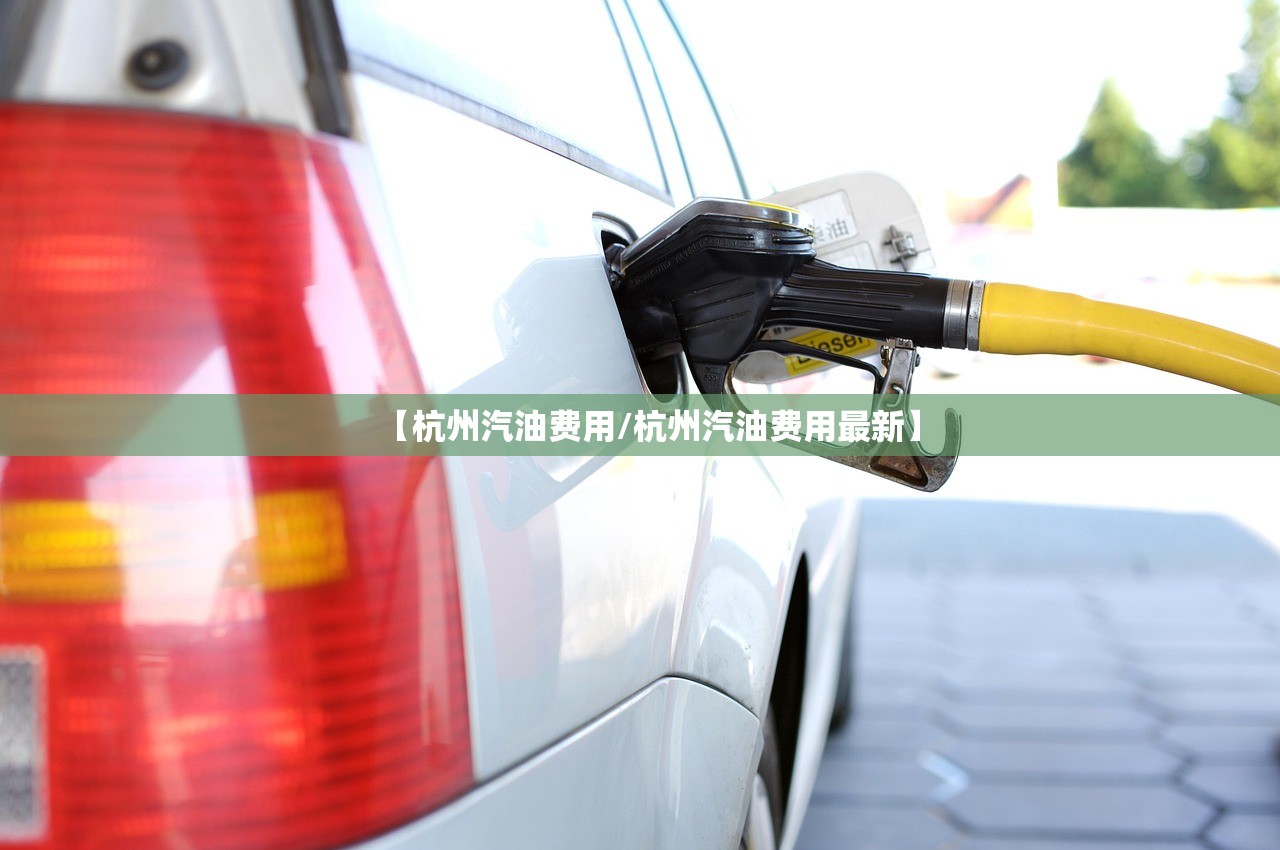 【杭州汽油费用/杭州汽油费用最新】