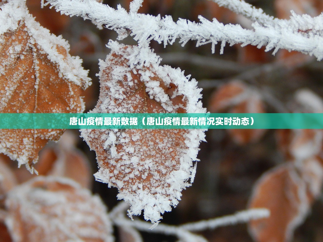 唐山疫情最新数据（唐山疫情最新情况实时动态）