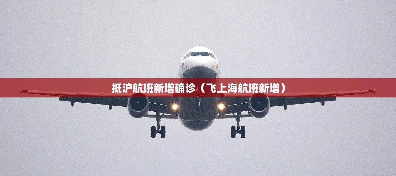 抵沪航班新增确诊（飞上海航班新增）