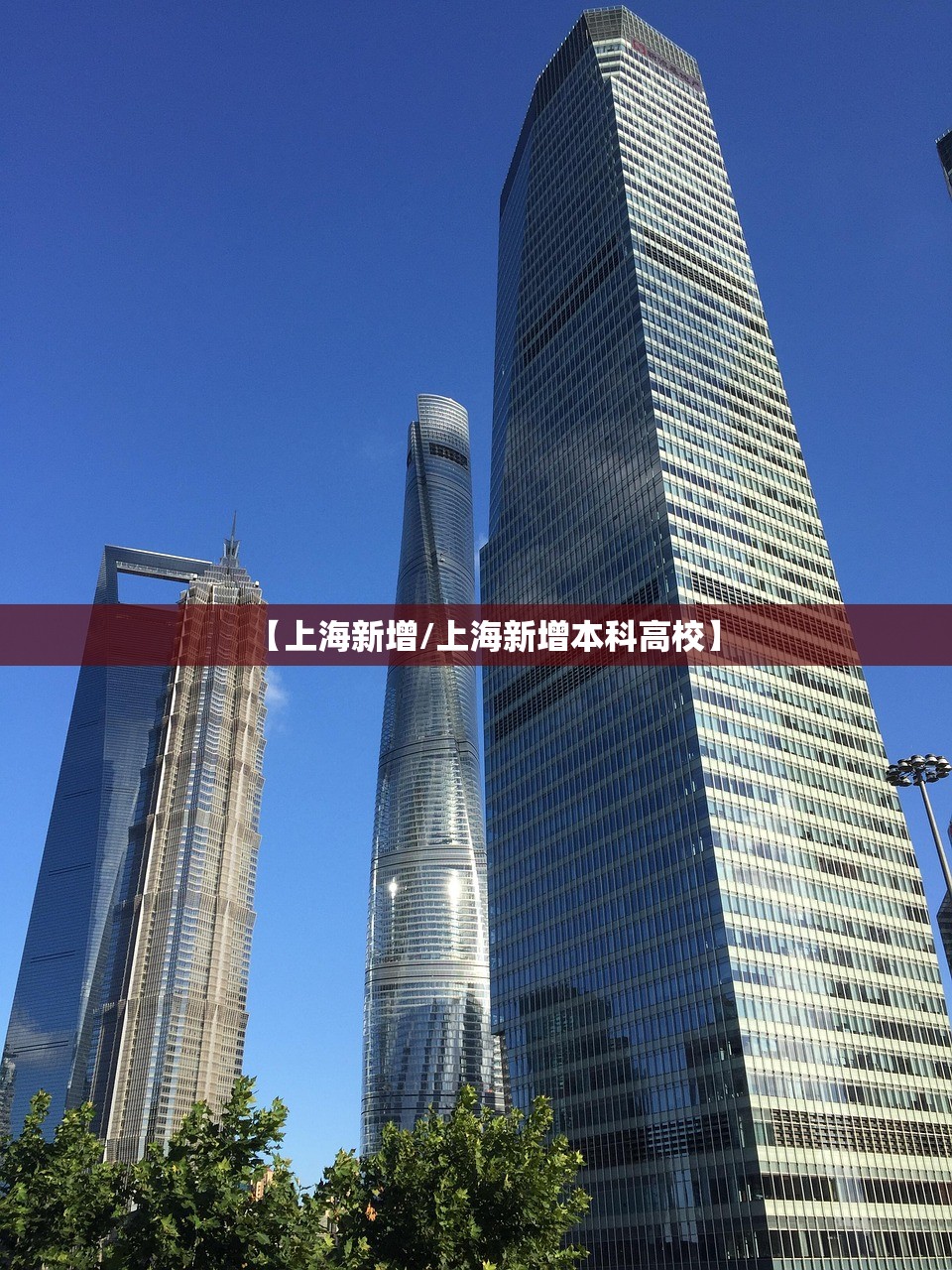 【上海新增/上海新增本科高校】