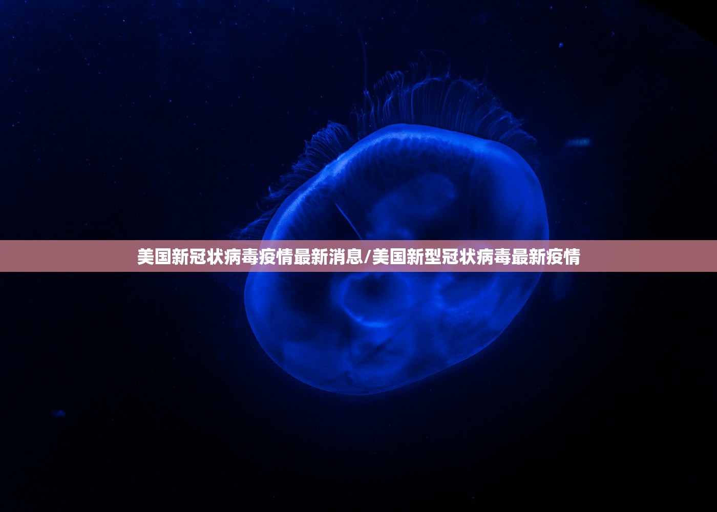 美国新冠状病毒疫情最新消息/美国新型冠状病毒最新疫情