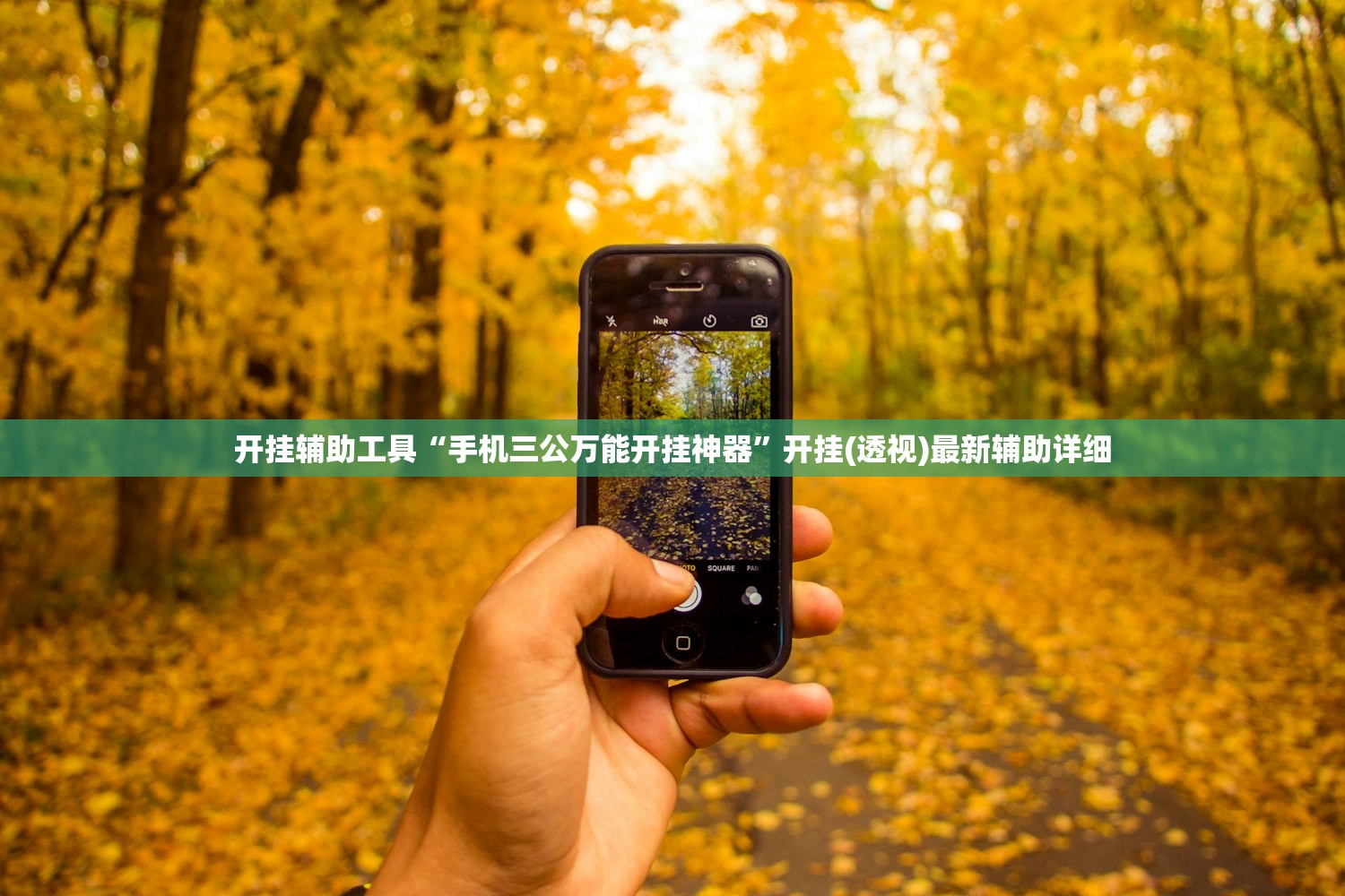 开挂辅助工具“手机三公万能开挂神器”开挂(透视)最新辅助详细