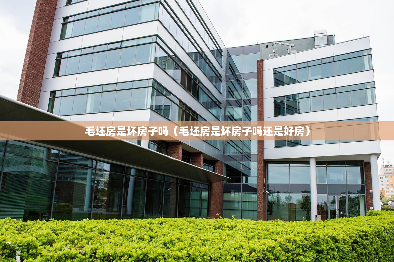 毛坯房是坏房子吗（毛坯房是坏房子吗还是好房）