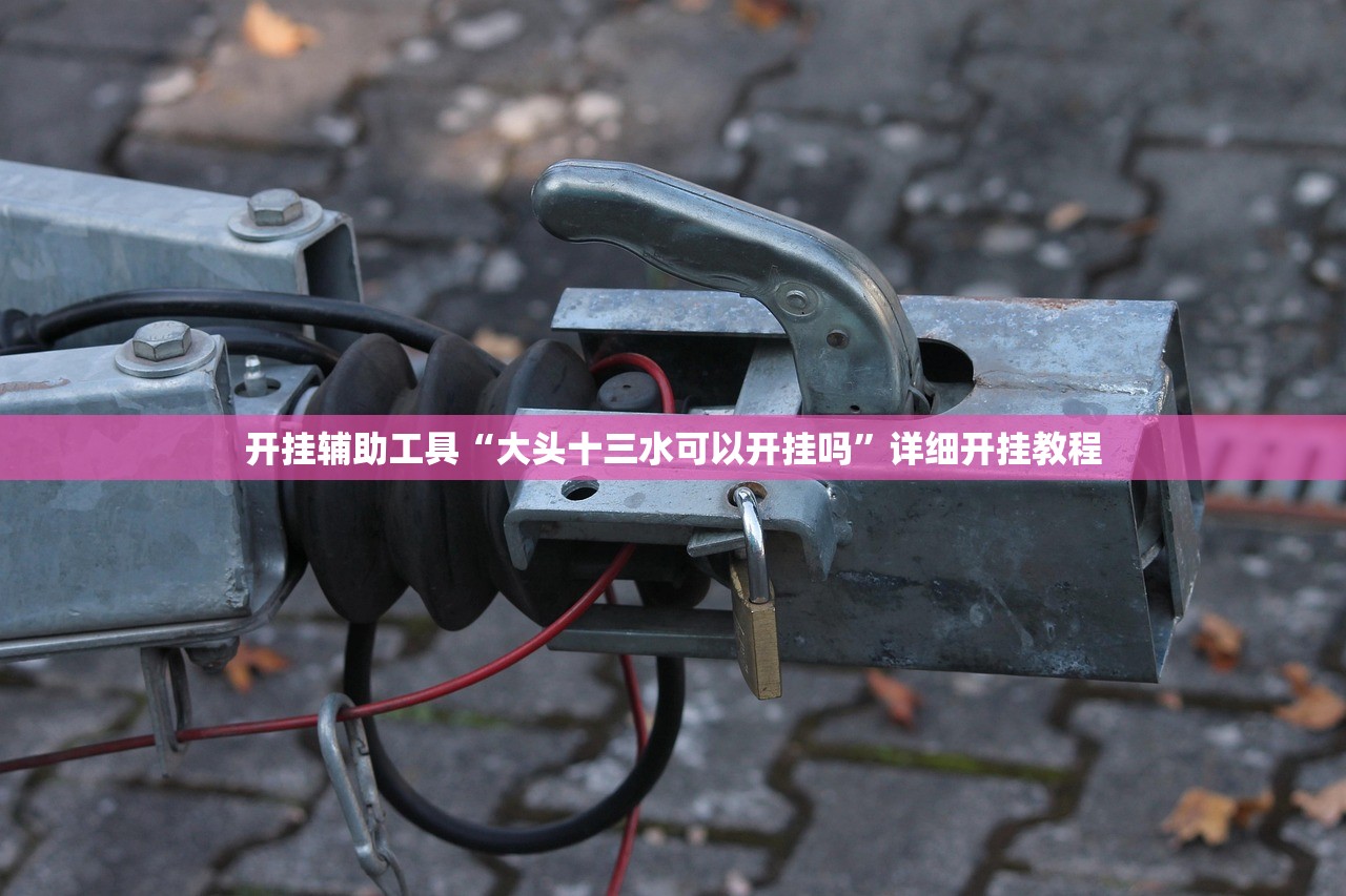 开挂辅助工具“大头十三水可以开挂吗”详细开挂教程