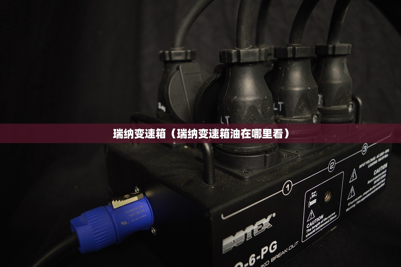 瑞纳变速箱（瑞纳变速箱油在哪里看）
