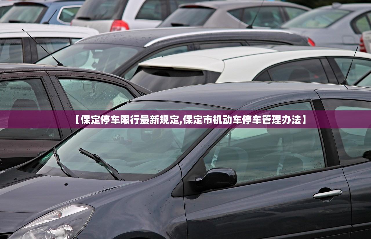 【保定停车限行最新规定,保定市机动车停车管理办法】