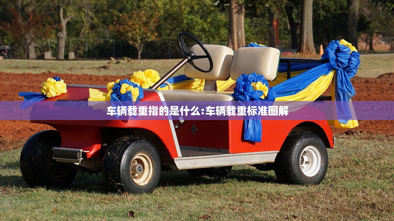车辆载重指的是什么:车辆载重标准图解 车辆载重指的是什么:车辆载重标准图解