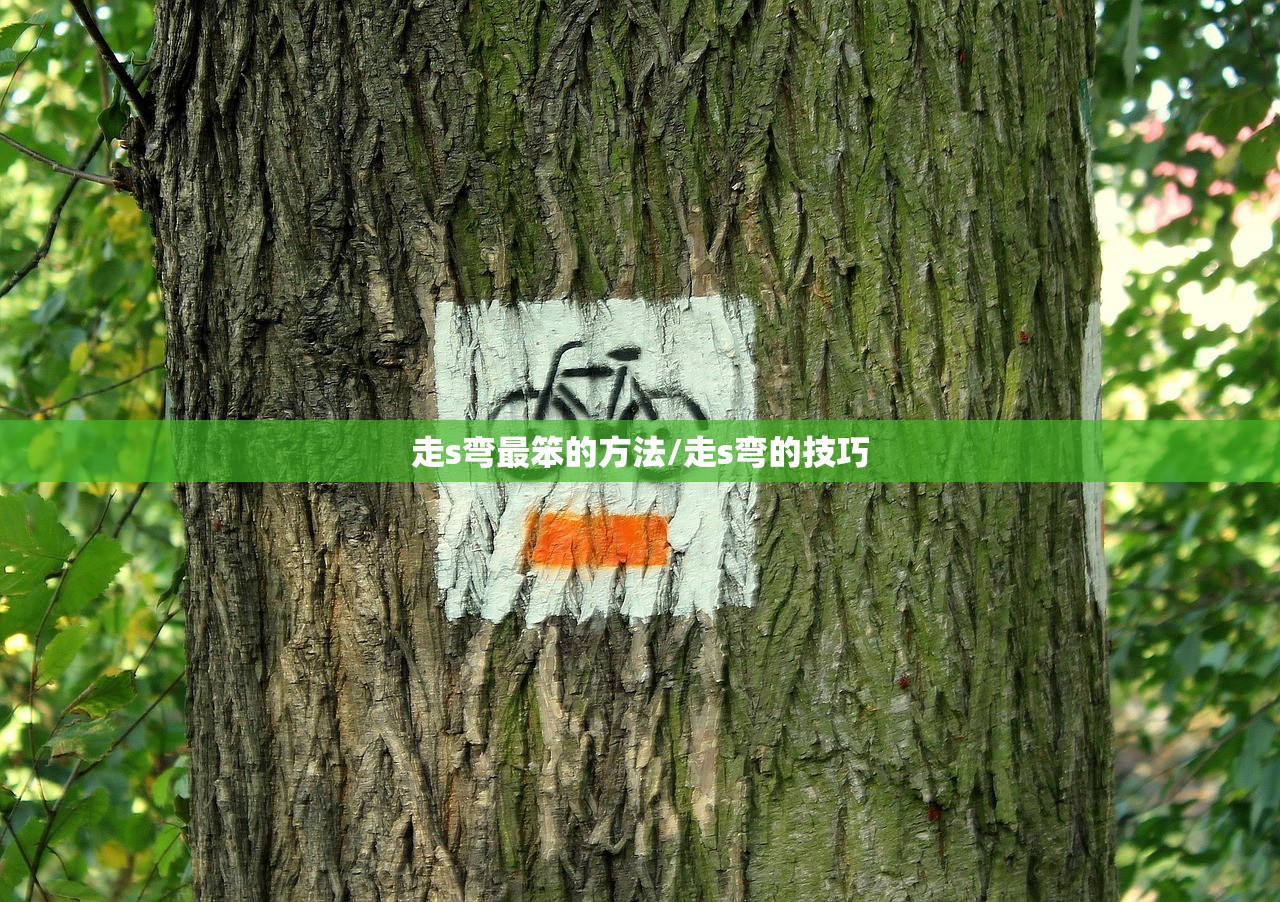走s弯最笨的方法/走s弯的技巧
