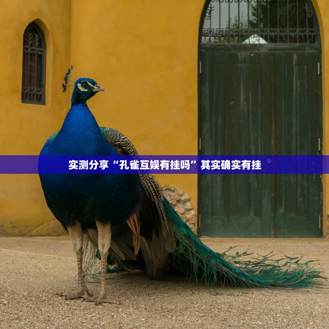 【北京近24小时新增确诊病例涉及4区,北京24日新增13例】