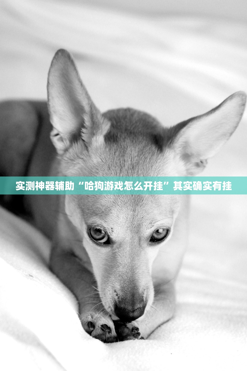 必备科技“手机微乐麻将开挂免费软件下载”科技辅助神器手机版