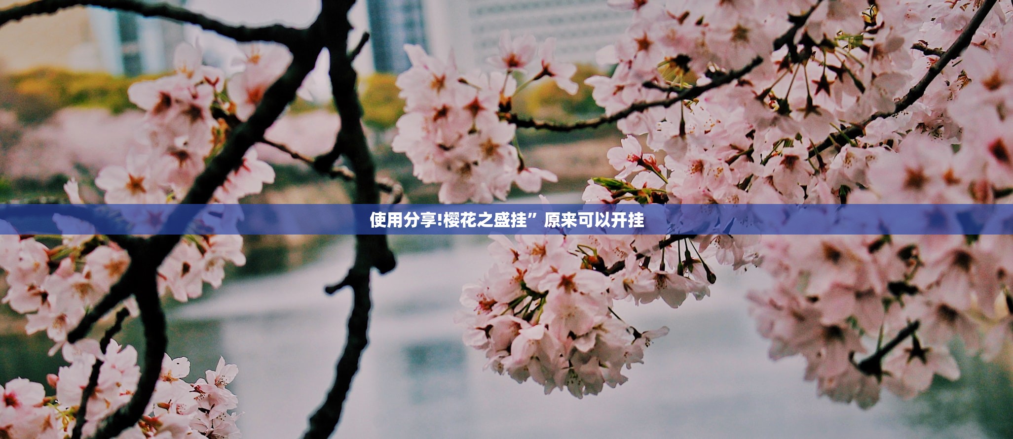 清明放假安排来了（清明放假2021清明放假）
