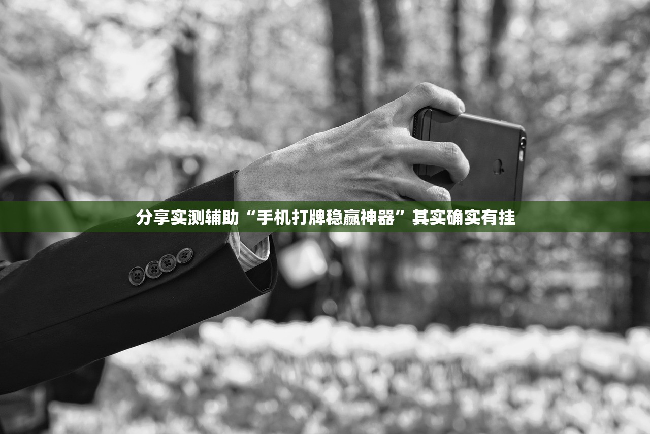 分享实测辅助“手机打牌稳赢神器”其实确实有挂