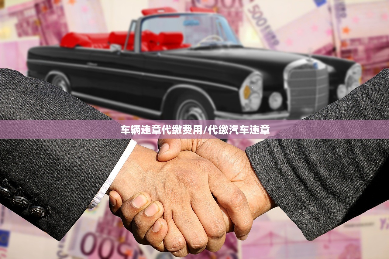 车辆违章代缴费用/代缴汽车违章