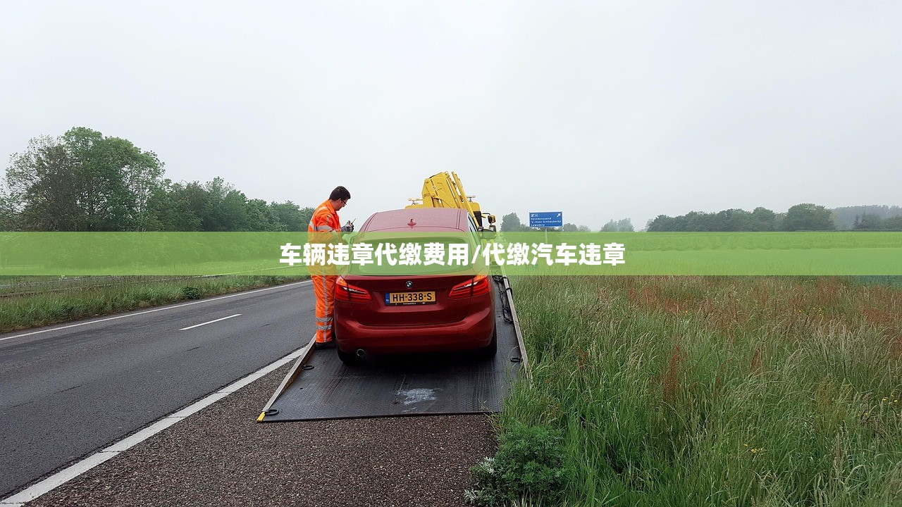 车辆违章代缴费用/代缴汽车违章