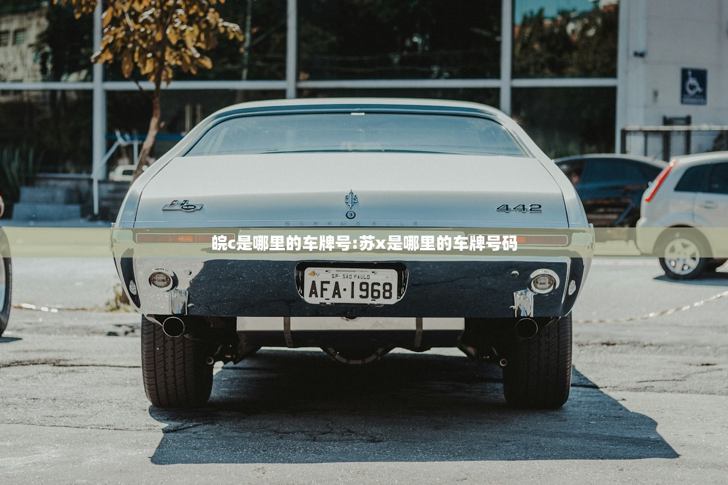 皖c是哪里的车牌号:苏x是哪里的车牌号码 皖c是哪里的车牌号:苏x是哪里的车牌号码