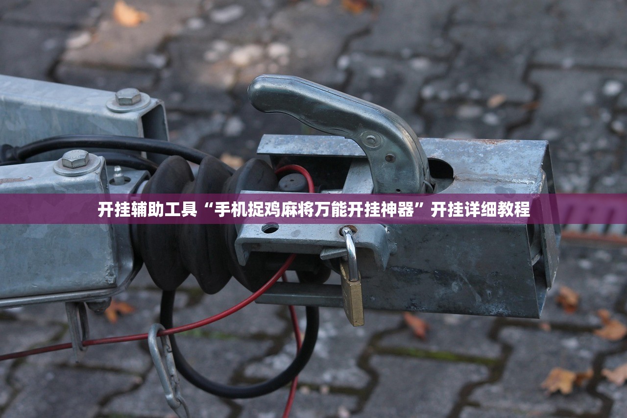 开挂辅助工具“手机捉鸡麻将万能开挂神器	”开挂详细教程