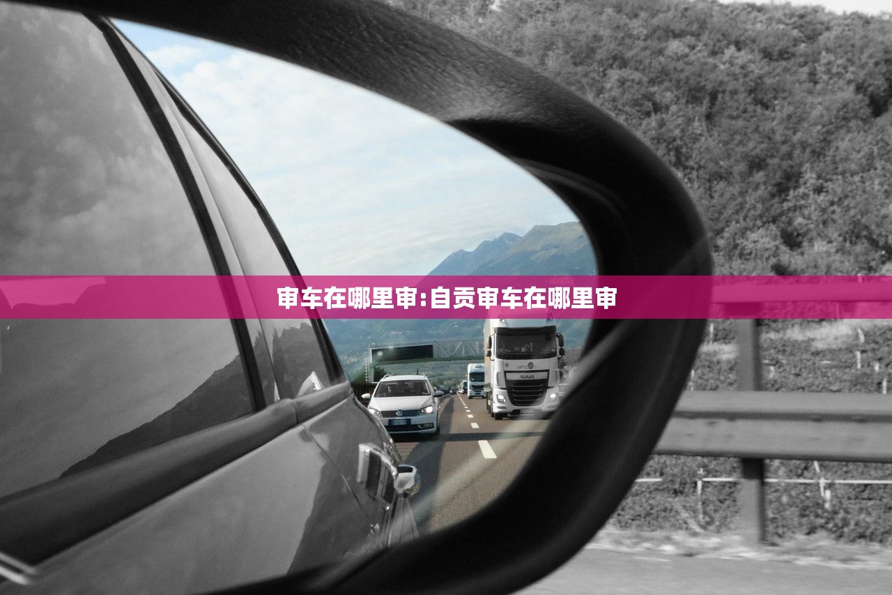 审车在哪里审:自贡审车在哪里审 审车在哪里审:自贡审车在哪里审