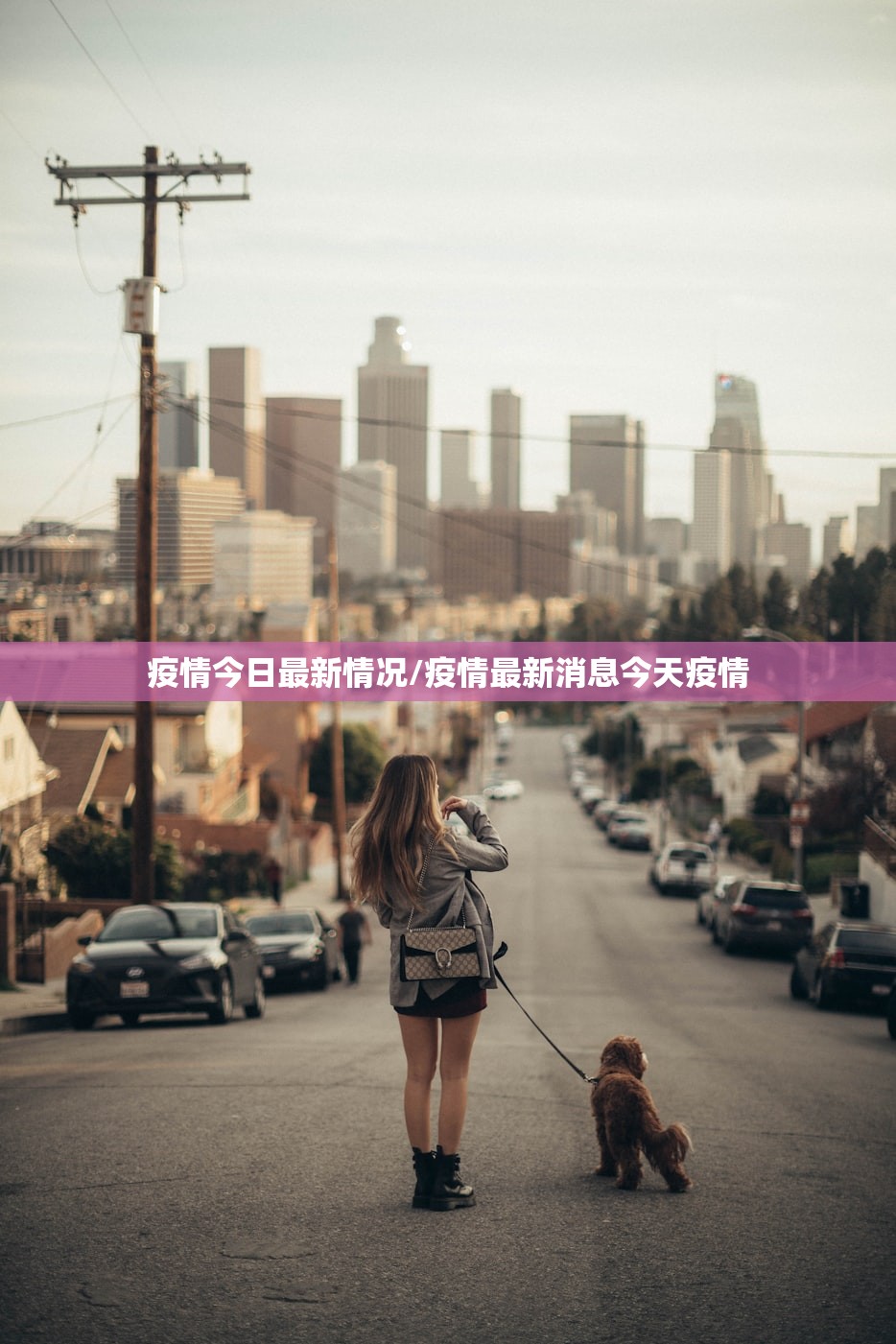 哈尔滨最新疫情报告:哈尔滨最新的疫情报告