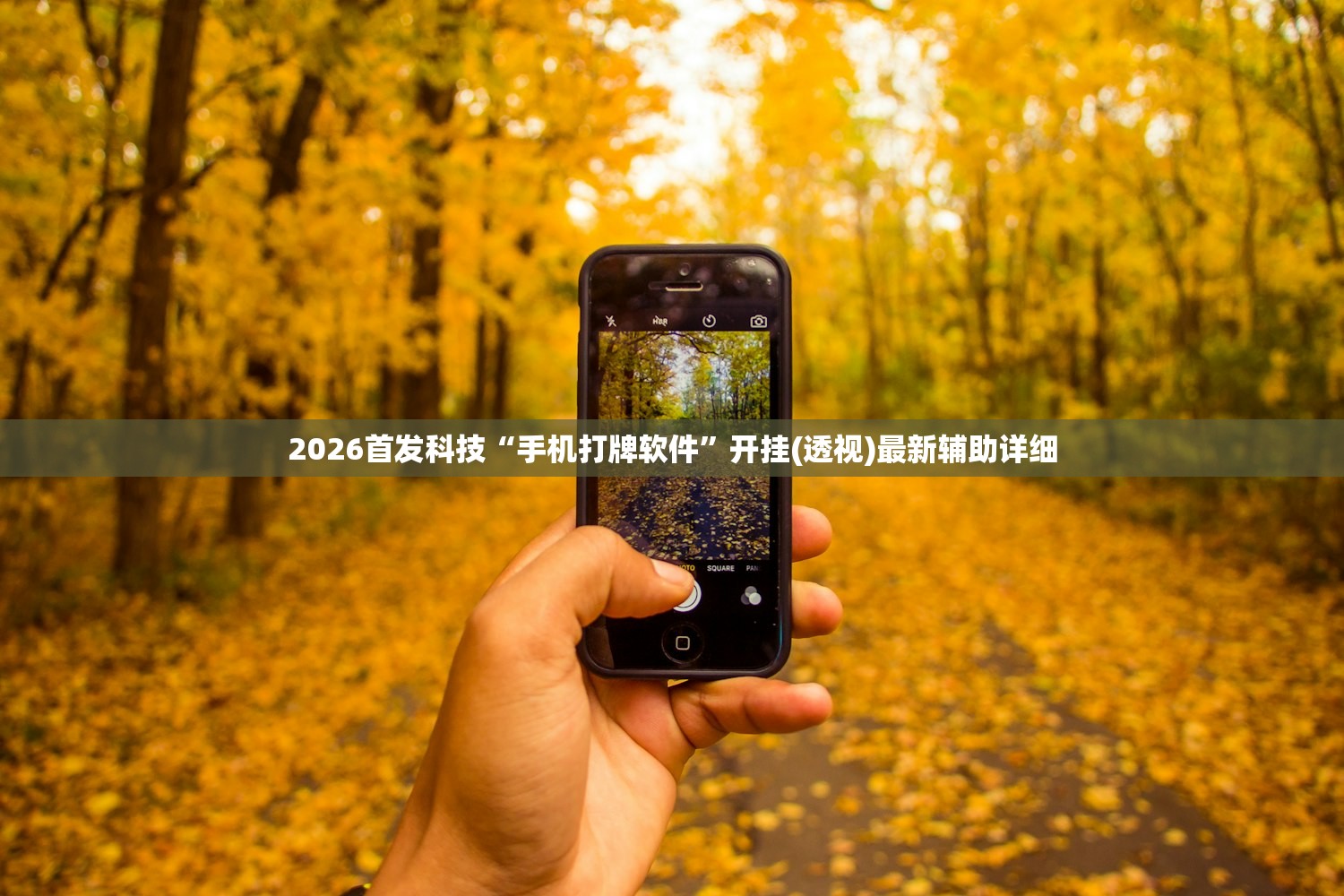 2026首发科技“手机打牌软件”开挂(透视)最新辅助详细