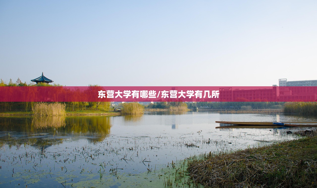东营大学有哪些/东营大学有几所