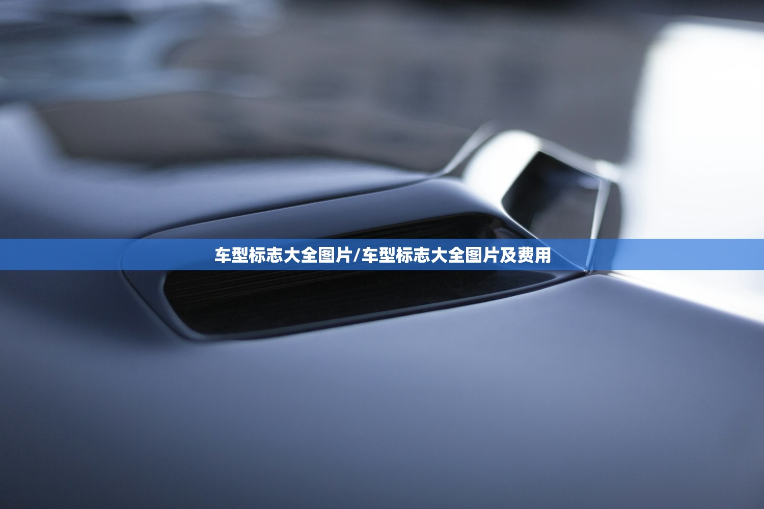 车型标志大全图片/车型标志大全图片及费用